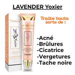 LAVENDER Yoxier